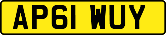 AP61WUY