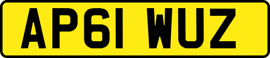 AP61WUZ