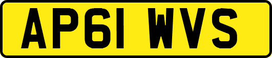 AP61WVS
