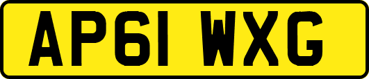 AP61WXG