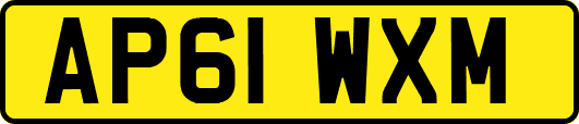 AP61WXM