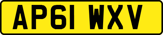 AP61WXV