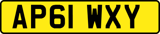 AP61WXY