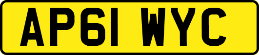 AP61WYC