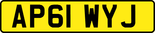 AP61WYJ