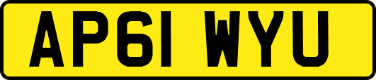 AP61WYU