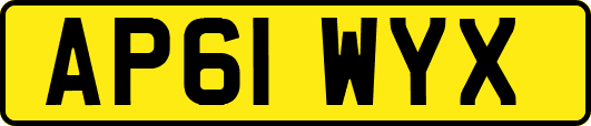 AP61WYX