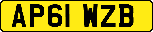 AP61WZB