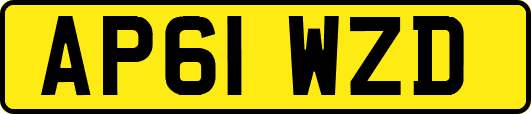 AP61WZD
