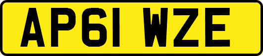 AP61WZE