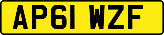 AP61WZF