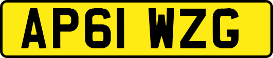 AP61WZG