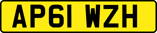 AP61WZH