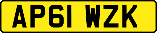 AP61WZK