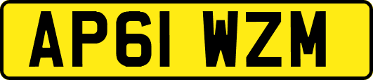 AP61WZM