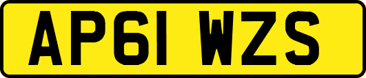 AP61WZS