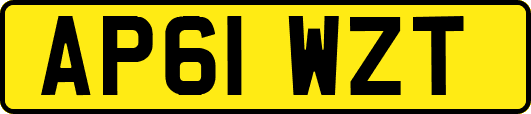 AP61WZT