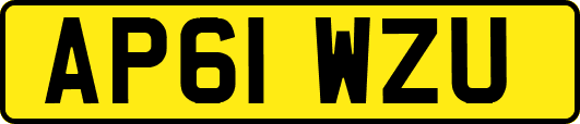 AP61WZU