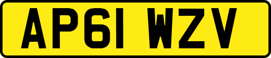 AP61WZV