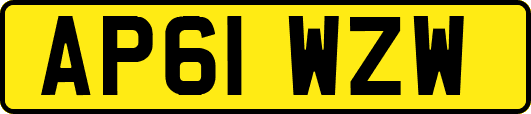 AP61WZW