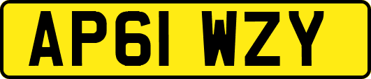 AP61WZY