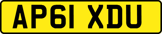 AP61XDU