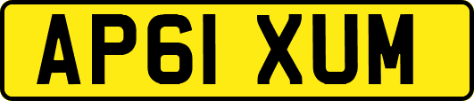 AP61XUM