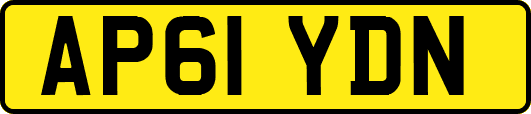 AP61YDN