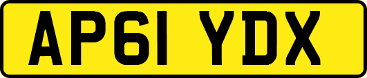 AP61YDX