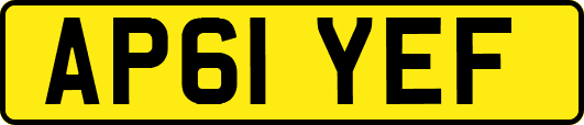 AP61YEF