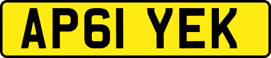 AP61YEK