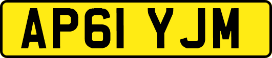 AP61YJM
