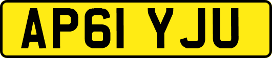AP61YJU