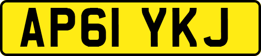 AP61YKJ