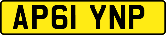 AP61YNP