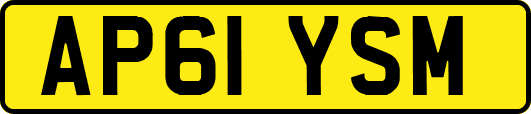 AP61YSM