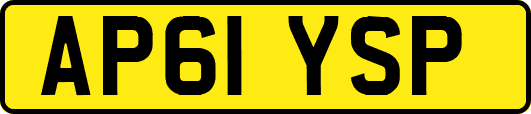 AP61YSP