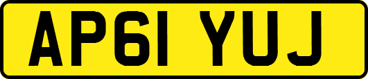 AP61YUJ