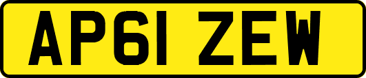 AP61ZEW