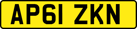 AP61ZKN