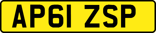 AP61ZSP