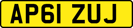 AP61ZUJ