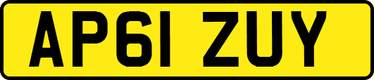 AP61ZUY