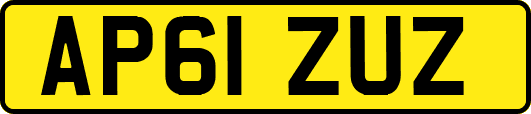AP61ZUZ