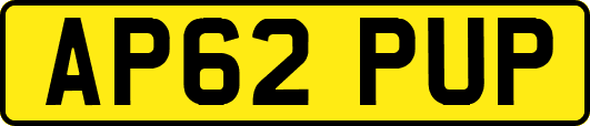AP62PUP