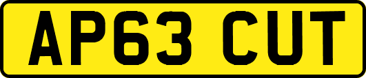 AP63CUT