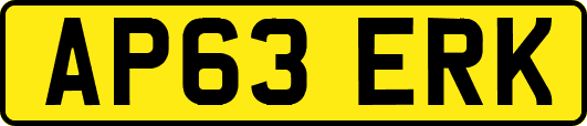 AP63ERK
