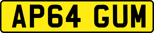 AP64GUM