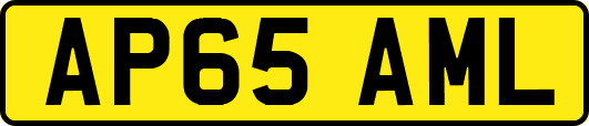AP65AML