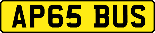 AP65BUS